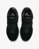LeBron XXI