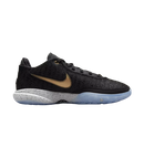 Nike LeBron 20 'The Debut'